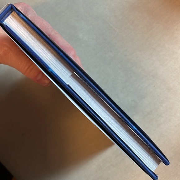 🌈2/$8  Hanukkah Lights: Stories of the Season - Picture 5 of 13